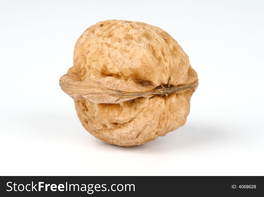 Walnut on the white background