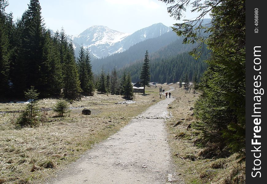 Path in the Tatry mountains in Poland.