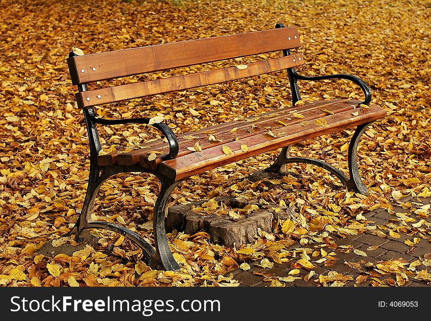 Wooden bench in autumn, yellow leafs fallen on ground