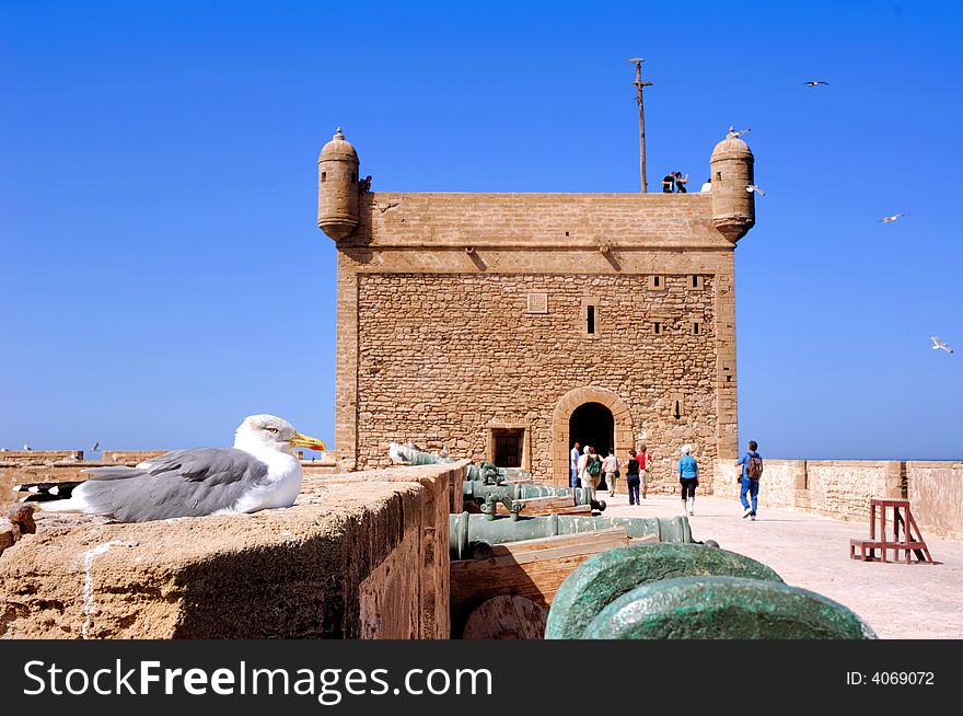 Morocco, Essaouira: blue sky and a seagull on the fortress wall. Morocco, Essaouira: blue sky and a seagull on the fortress wall