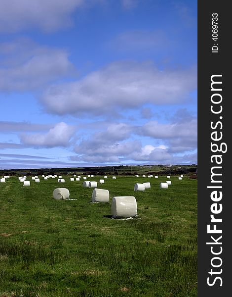 A field of bales in the west of ireland. A field of bales in the west of ireland