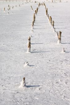 Free Salt Lake Royalty Free Stock Image - 4071566