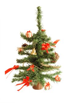 Little Christmas Tree Royalty Free Stock Photo Little Christmas Tree Royalty Free Stock Photo