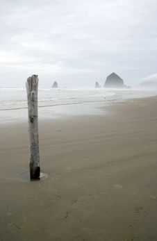 Solitary Piling On Cannon Beach Royalty Free Stock Photography Solitary Piling On Cannon Beach Royalty Free Stock Photography