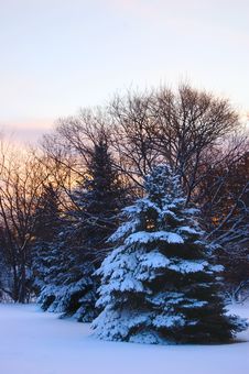 Winter Morning Sunrise Royalty Free Stock Image Winter Morning Sunrise Royalty Free Stock Image