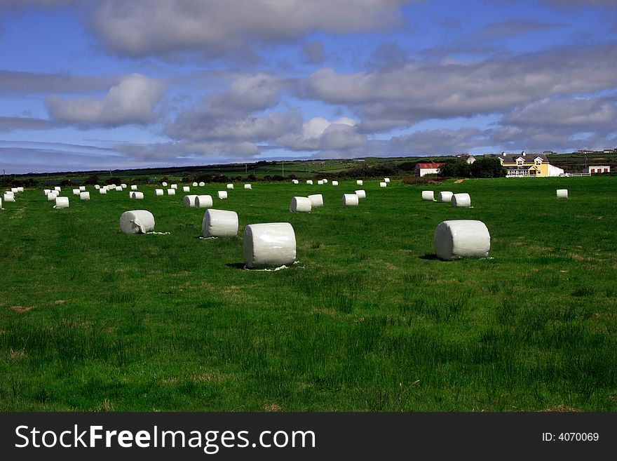 A field of bales in the west of ireland
