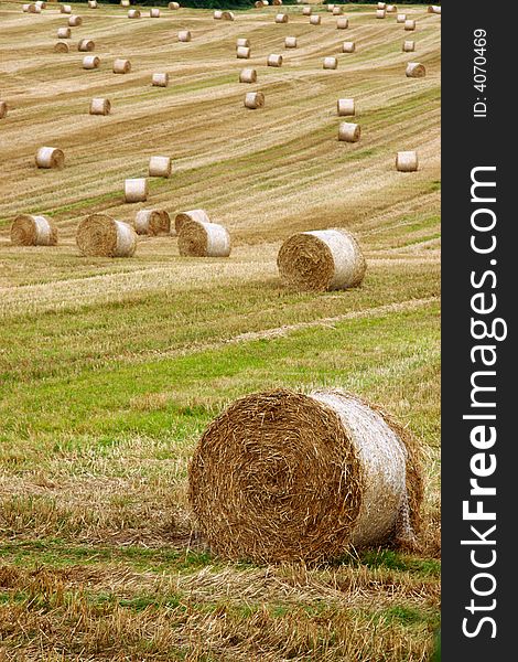 Round Bales 7