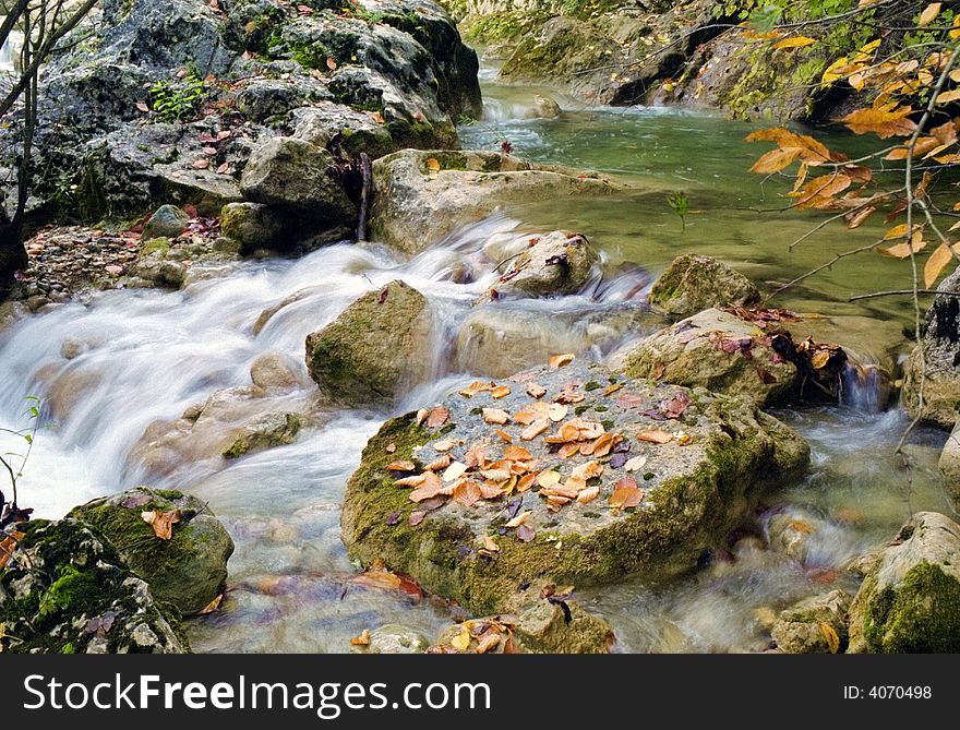Autumn stream with yellow leaves on stone