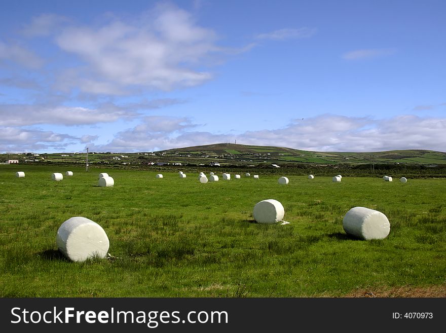 A field of bales in the west of ireland. A field of bales in the west of ireland