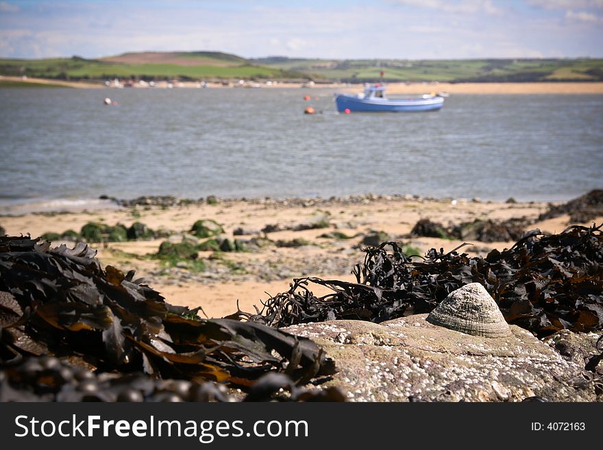 Fishing boat at anchor in an estuary with seaweed and shell foreground. Fishing boat at anchor in an estuary with seaweed and shell foreground