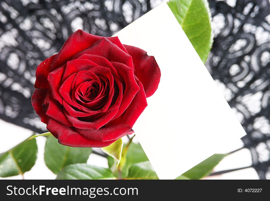 Single red rose with love note paper. Put your message on it!. Single red rose with love note paper. Put your message on it!