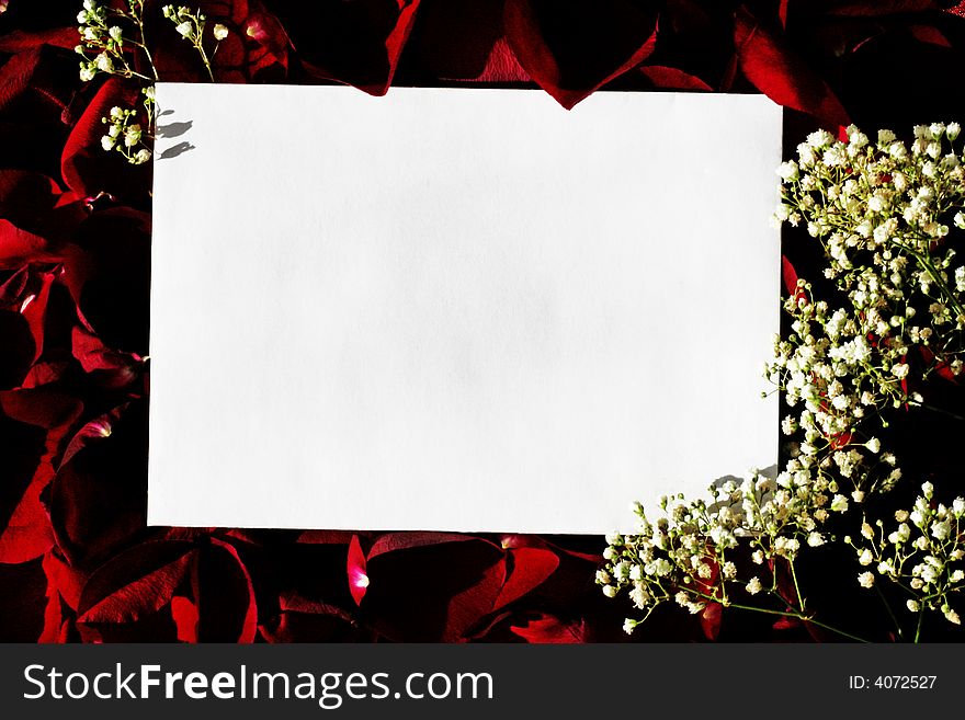 Red sunny background with white paper over roses petals. Red sunny background with white paper over roses petals