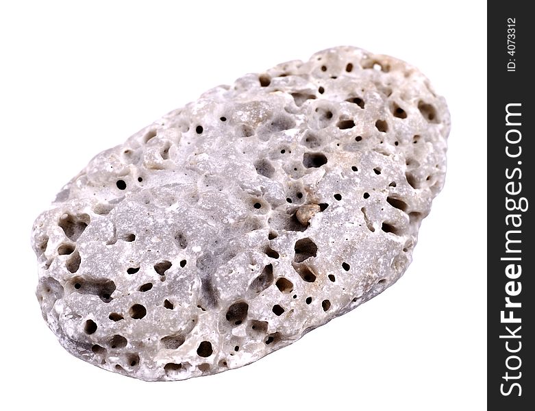A stone with many wormholes on white background. A stone with many wormholes on white background