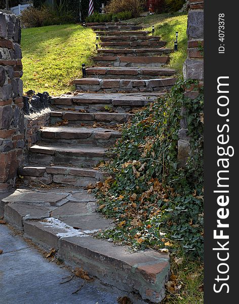 Old stone stairway with plants and leaves