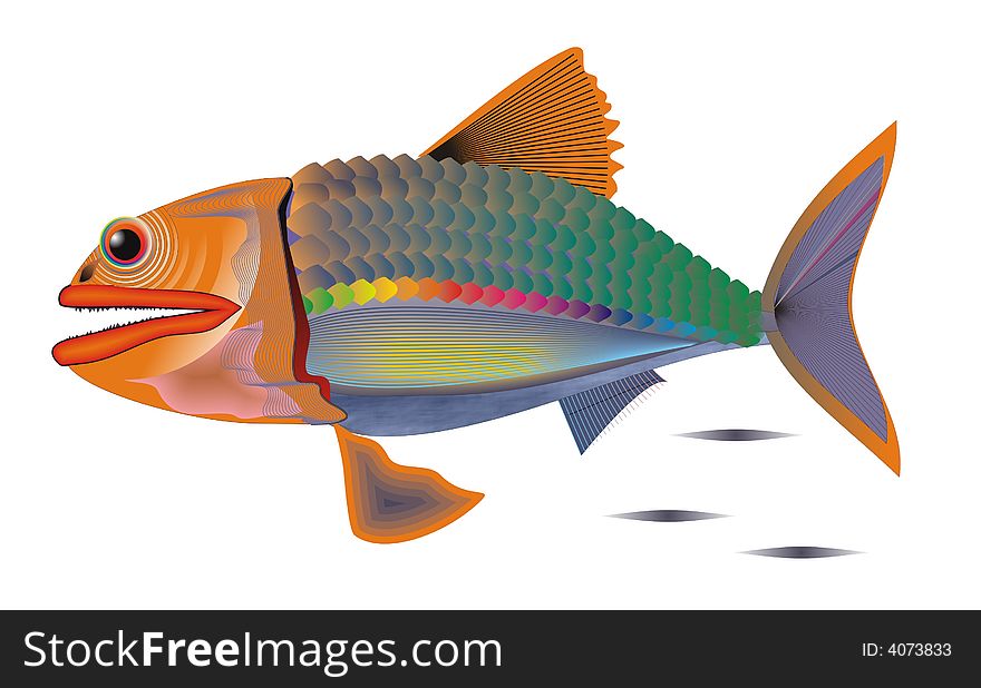 Colorful Fish isolated on white background. Vector illustration. Colorful Fish isolated on white background. Vector illustration