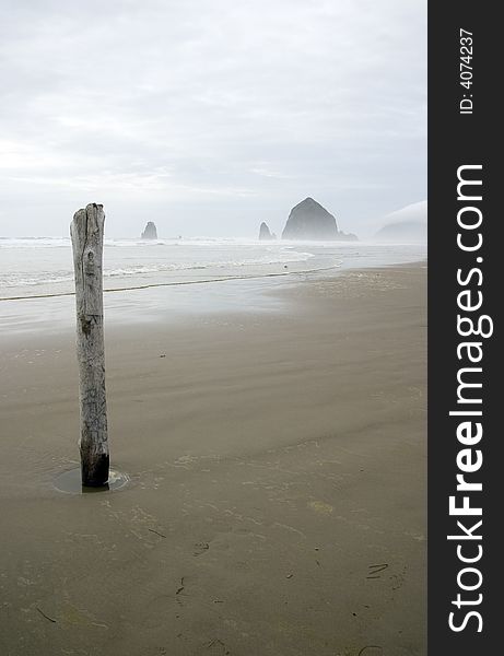A solitary piling stands in front of Haystack Rock on Cannon Beach. A solitary piling stands in front of Haystack Rock on Cannon Beach