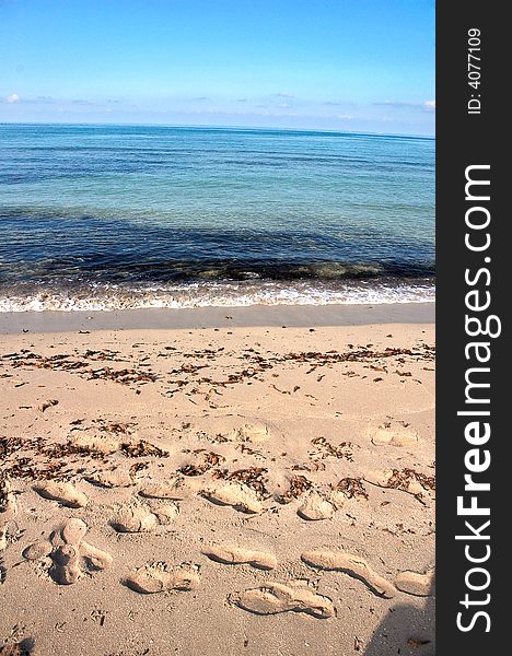 Footprints on the beach during the winter