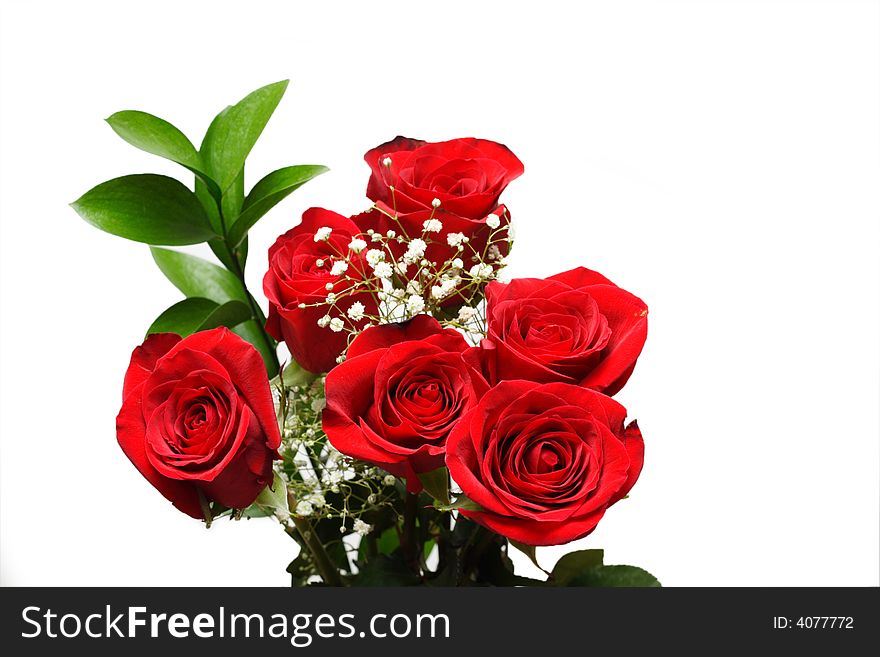 Bunch of Beautiful Red Roses on a White Background. Bunch of Beautiful Red Roses on a White Background