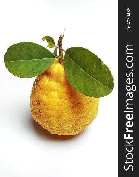 Yellow Lemon (Lime) with green leaves