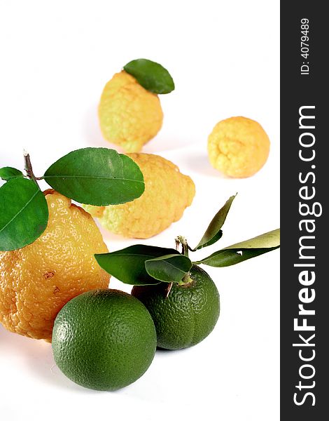 Collection of lemons isolated on a white background.