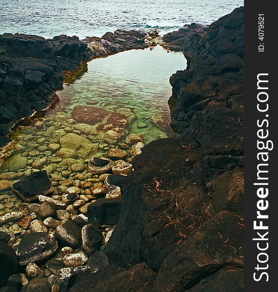 Kauai Coastal Black Lava Rock Pool