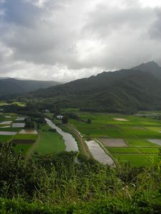 Road To Hanalei Stock Photos Road To Hanalei Stock Photos