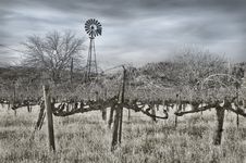 Vineyard And Windmill In Infrared Royalty Free Stock Photos