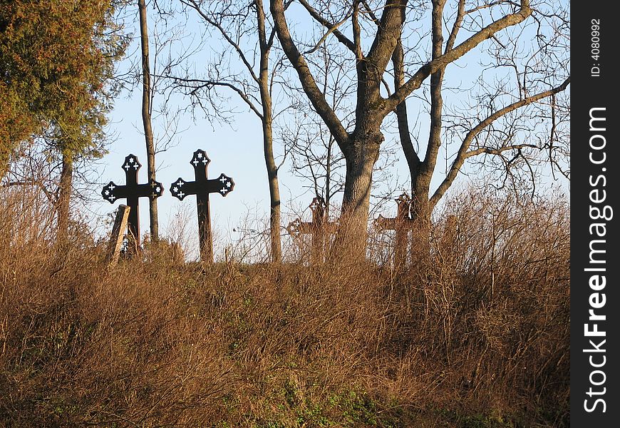 The old cemetery in the forest