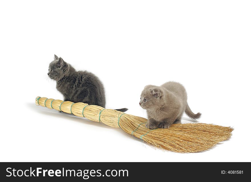 Two varicolored kitties sit beside besom. Two varicolored kitties sit beside besom
