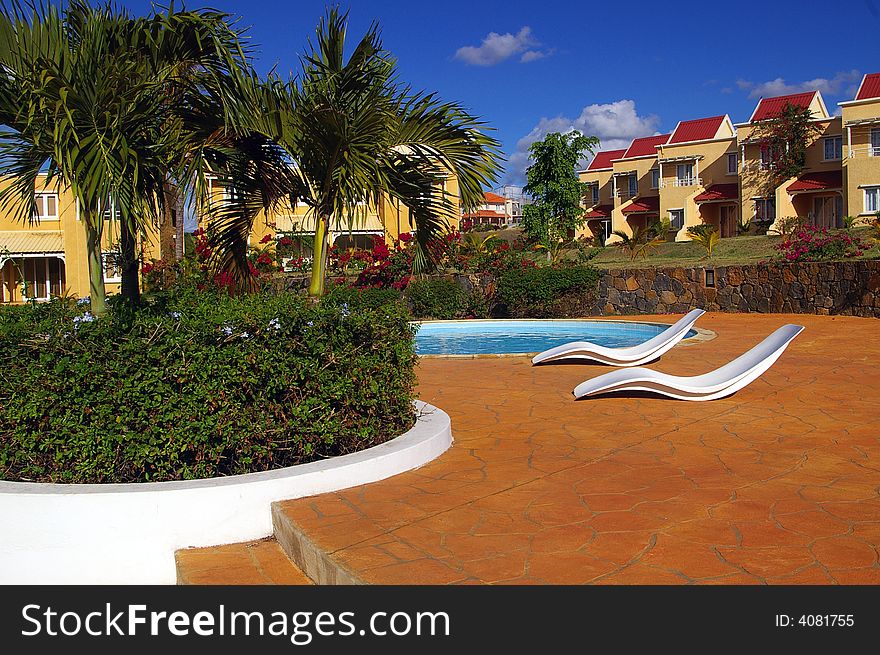 Recliners by swimming pool in tropical setting