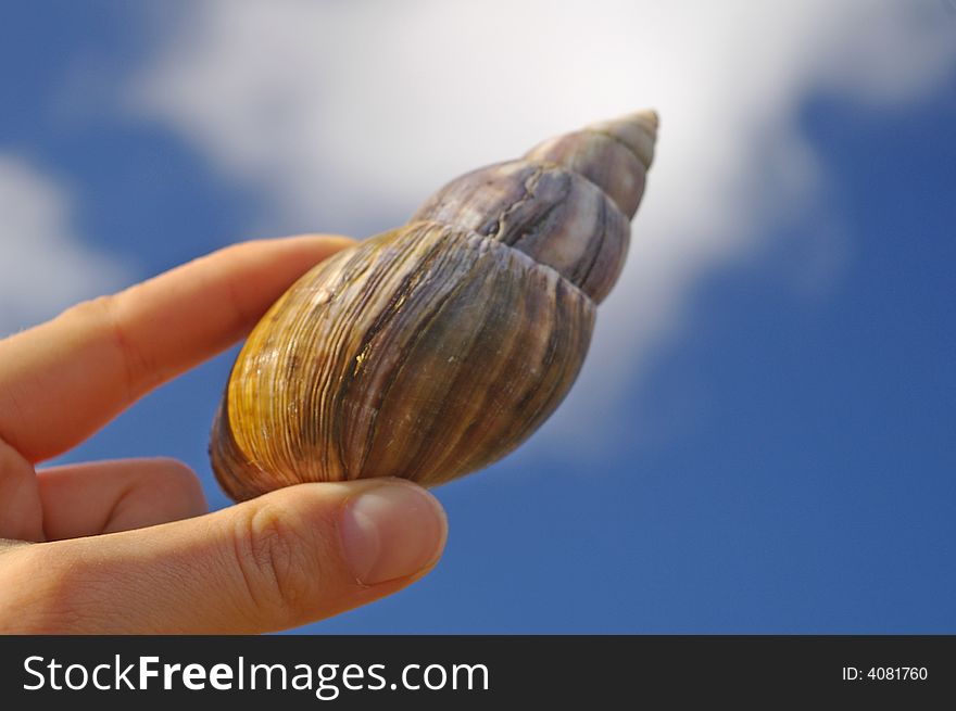 Large old snail in woman's hand against sky background. Large old snail in woman's hand against sky background