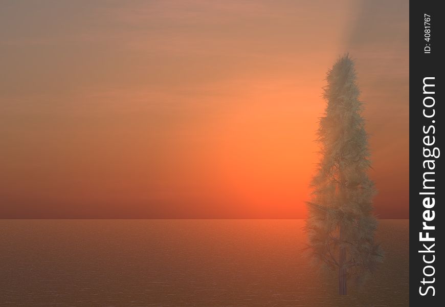 A lone Pine Tree in a foggy winter sunset. A lone Pine Tree in a foggy winter sunset.