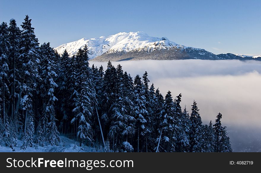 A stunning scene with snow capped peaks, valley clouds and snowy trees in winter. A stunning scene with snow capped peaks, valley clouds and snowy trees in winter.