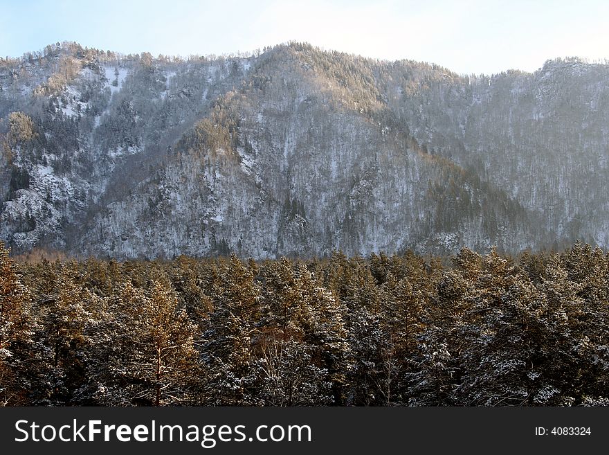 Altai Mountain with snow in winter 2008