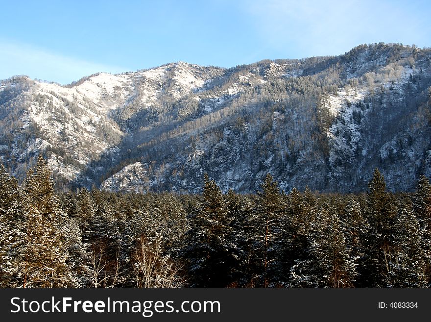 Altai Mountain With Snow