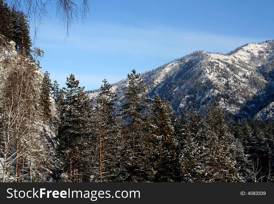 Altai Mountain with snow in winter 2008