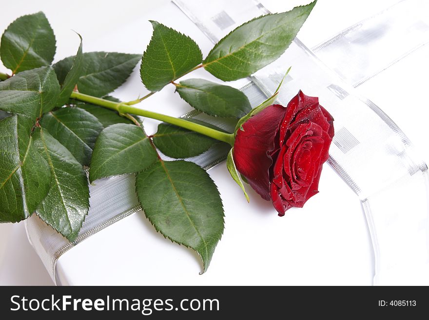 Single red rose on a white background with gift. Single red rose on a white background with gift