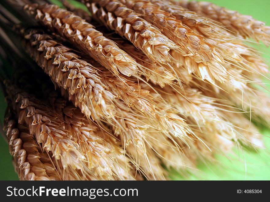 Golden grain close up and green background