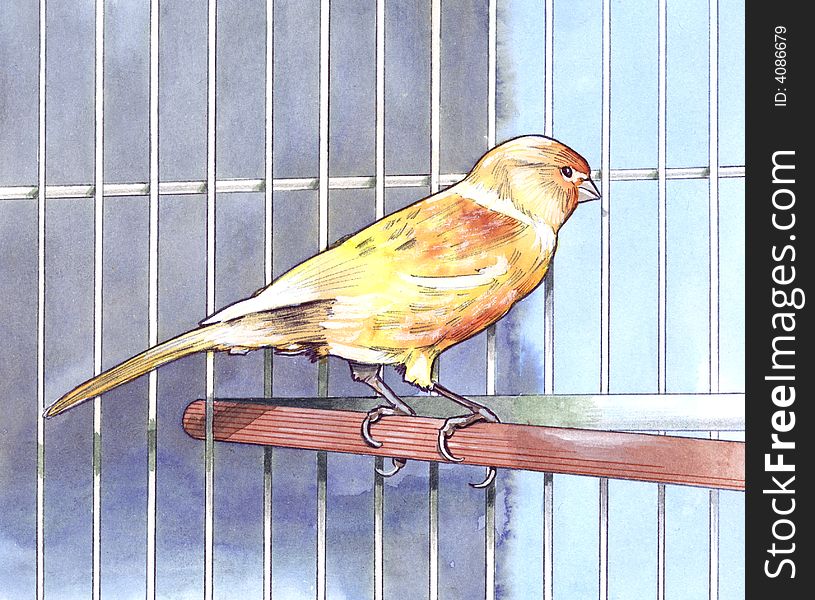 Hand made illustration of a yellow canary in cage