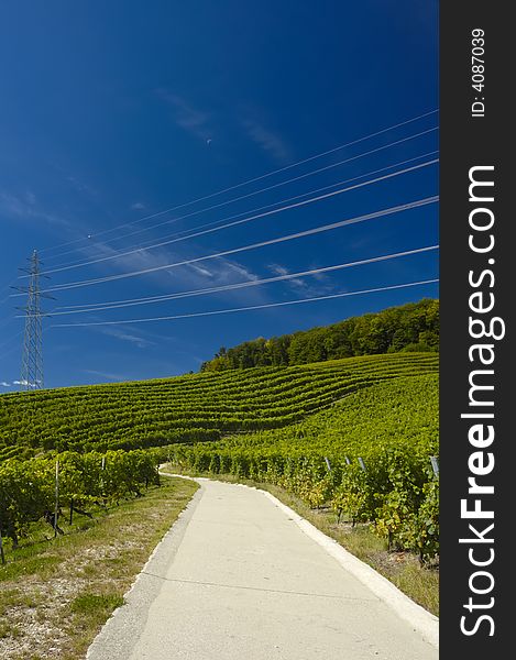 A road winds into Swiss vineyards, the undulating lines of the vines contrasting with power lines slicing through the sky. A road winds into Swiss vineyards, the undulating lines of the vines contrasting with power lines slicing through the sky.