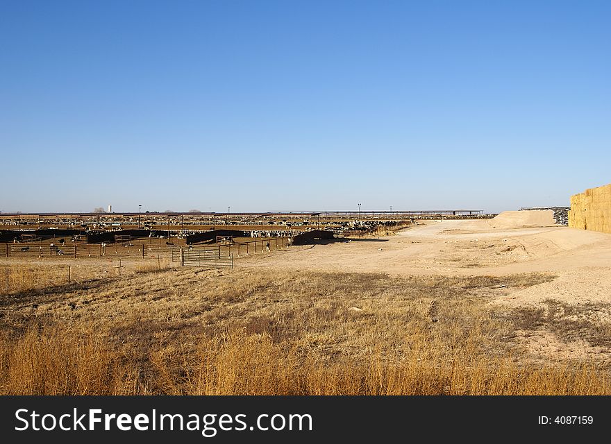Cattle stockyard and bales of hay