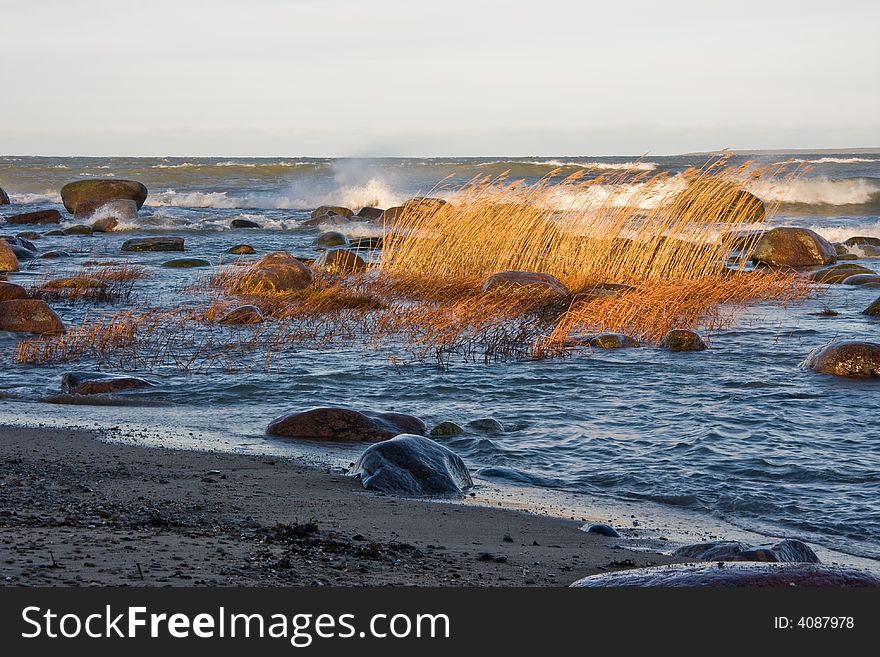 Rocks and yellow club rushes in dark blue wavy sea. Rocks and yellow club rushes in dark blue wavy sea.