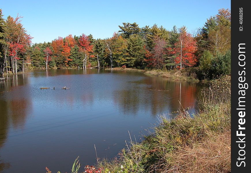 Serene autumn scene with deep blue lake waters encircled with brilliant red maples amid green pines. Serene autumn scene with deep blue lake waters encircled with brilliant red maples amid green pines.