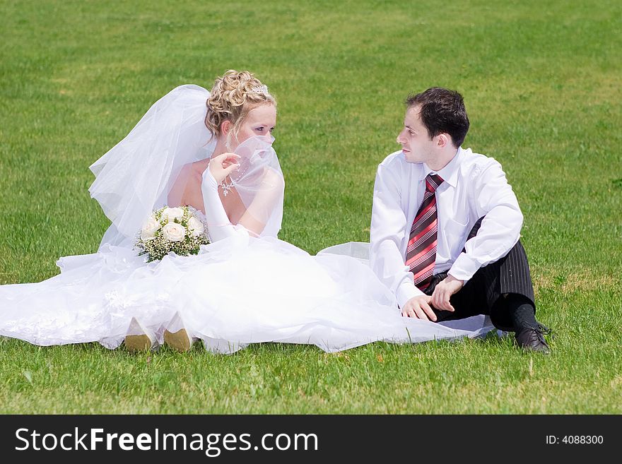 A bride and a groom siting on the grass and looking to the eyes of each other. A bride and a groom siting on the grass and looking to the eyes of each other