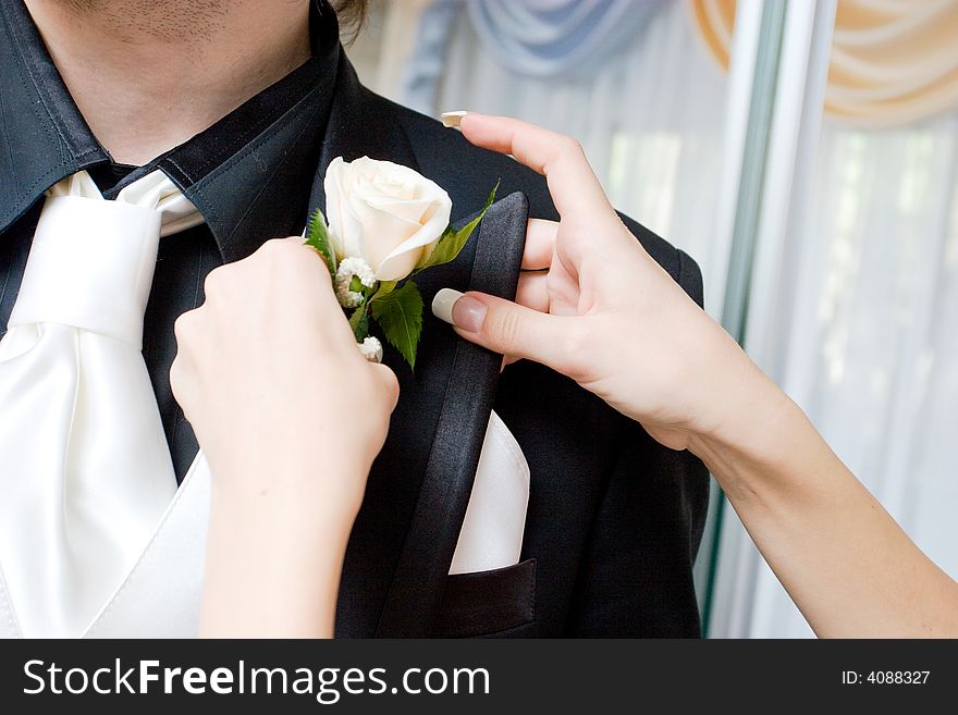 Hands of the girl attach a rose to the suit of the man. Hands of the girl attach a rose to the suit of the man