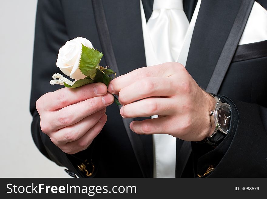 A white rose in the hands of the man in the black suit. A white rose in the hands of the man in the black suit
