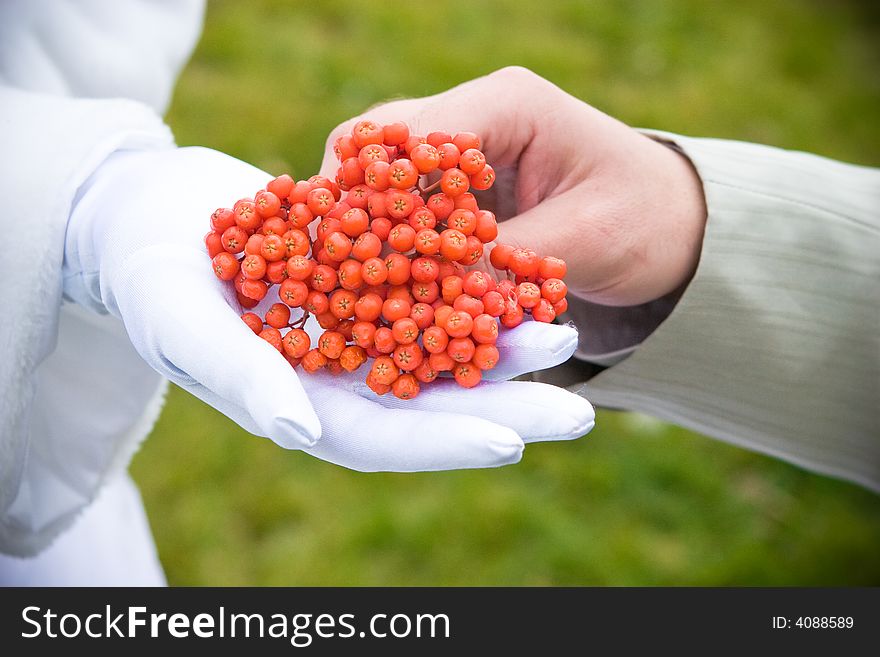 A bunch of ashberry in the hands of a bride and a groom