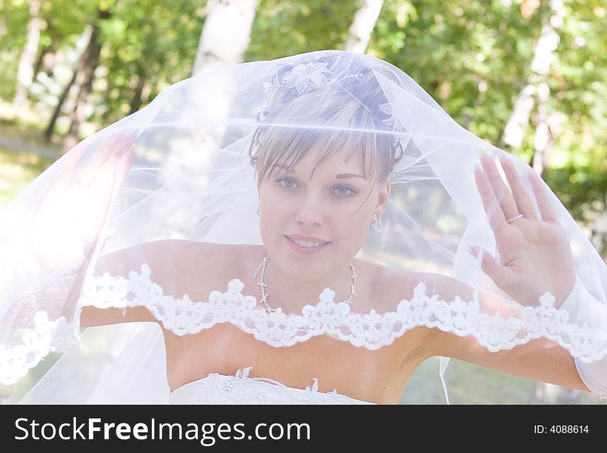 Young bride looks through the beautiful veil. Young bride looks through the beautiful veil