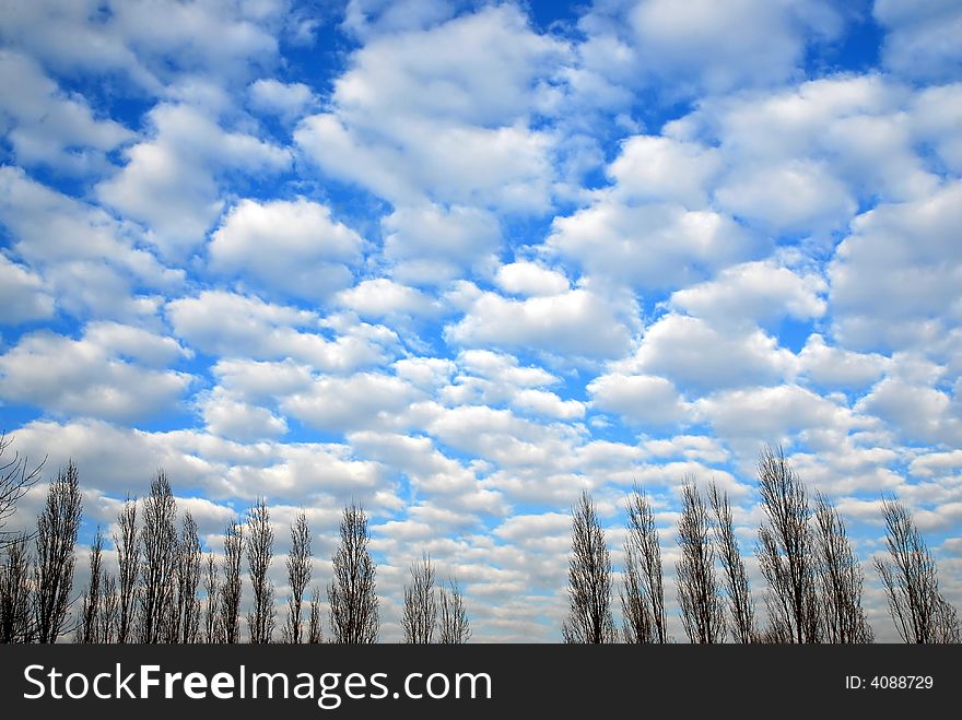 A cloudscape with line of trees