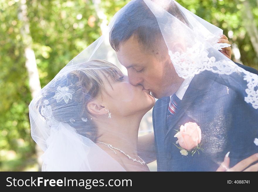 A bride and a groom kissing under the veil. A bride and a groom kissing under the veil